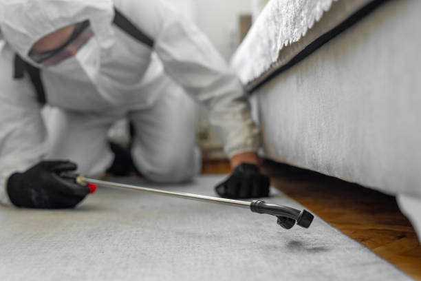 Professional Cockroach Control technician working in Portales, NM