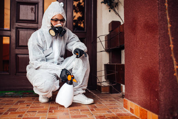 Reliable Cockroach Control contractor in Portales, NM by Nex Pest Control